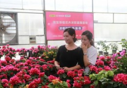 【电商产业】沭阳县人社局：依托特色产业 助推“电商”发展