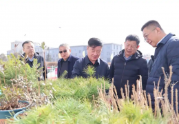 龙江森工集团举办首届苗木展销会