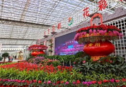 沭阳县在山东省青州市举办花木产业招商推介系列活动