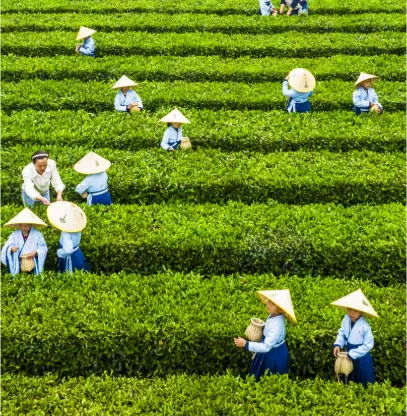 上海交友网：解锁魔都同城活动，吃喝玩乐推荐全攻略😎