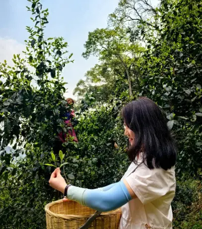 上海安福路Alimentari熟食店：藏在梧桐区里的意式美食宝藏🥖