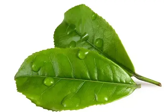 上海深夜游泳到底有多爽？我连泡七晚，差点把泳池当家😭
