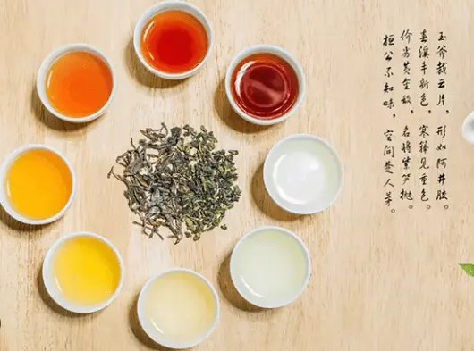 申城打卡清单｜上海聚会指南｜美食合集，这份攻略不看真的亏大了！